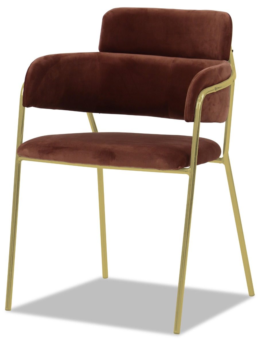 Emmiel Velvet Dining Chair with Gold Legs