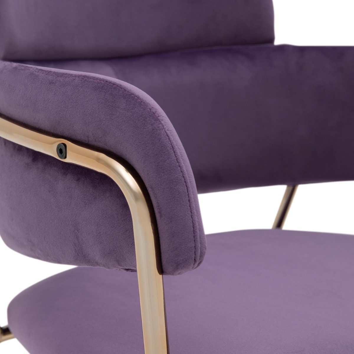 Emmiel Velvet Dining Chair with Gold Legs